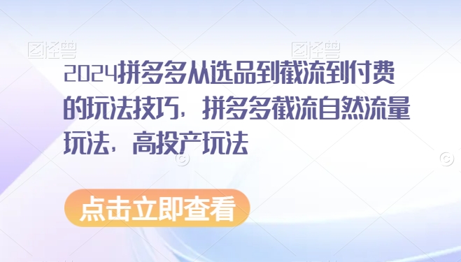 2024拼多多从选品到截流到付费的玩法技巧，拼多多截流自然流量玩法，高投产玩法-南丰网创