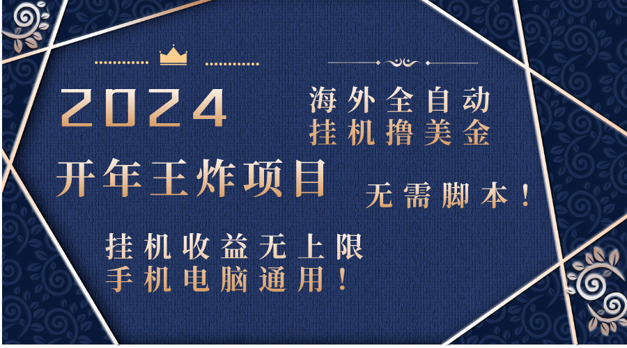 2024海外全自动挂机撸美金项目！手机电脑均可，无需脚本，收益无上限！-南丰网创