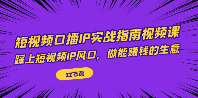 短视频口播IP实战指南视频课，踩上短视频IP风口，做能赚钱的生意（22节课）-南丰网创