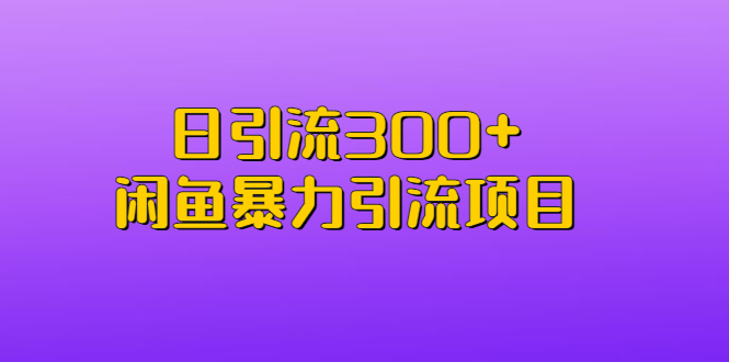 日引流300+闲鱼暴力引流项目-南丰网创