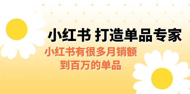 某公众号付费文章《小红书 打造单品专家》小红书有很多月销额到百万的单品-南丰网创