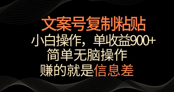 文案号掘金，简单复制粘贴，小白操作，单作品收益900+-南丰网创