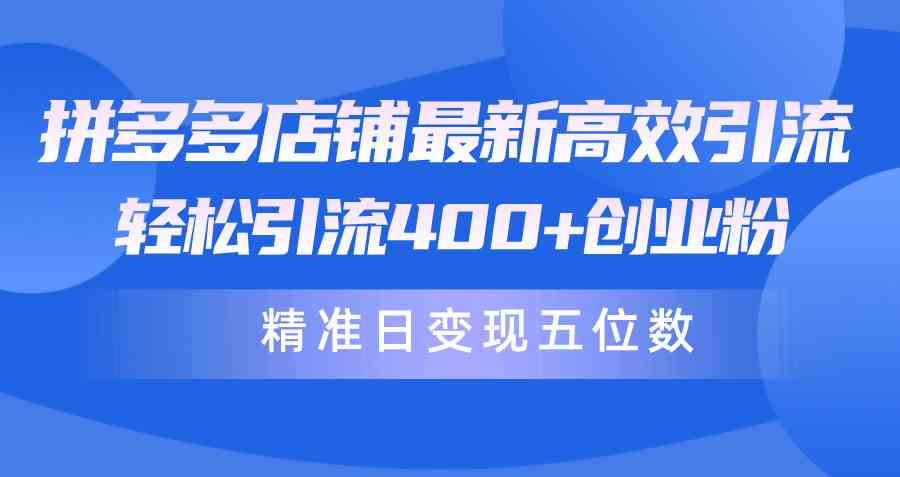 （10041期）拼多多店铺最新高效引流术，轻松引流400+创业粉，精准日变现五位数！-南丰网创