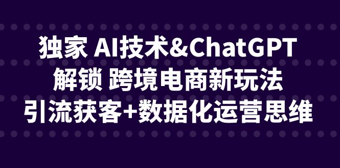 独家 AI技术&ChatGPT解锁 跨境电商新玩法，引流获客+数据化运营思维-南丰网创