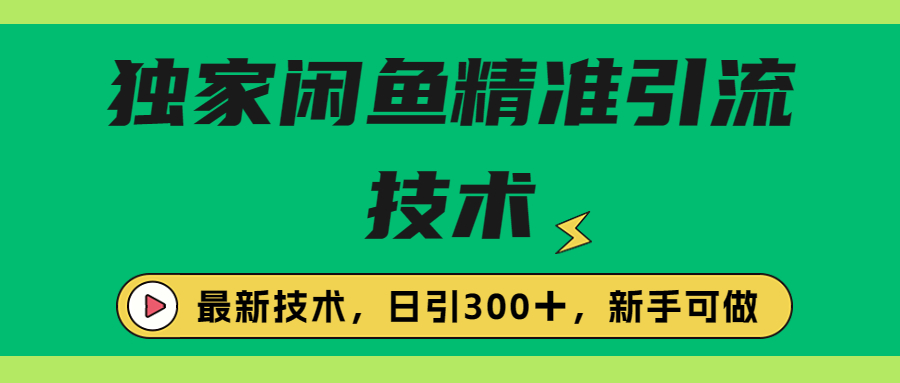 独家闲鱼引流技术，日引300＋实战玩法-南丰网创