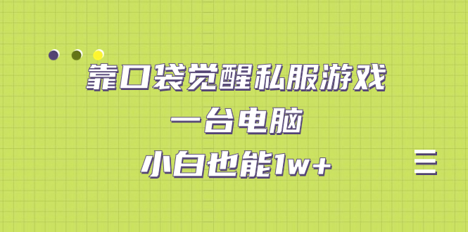 靠口袋觉醒私服游戏，一台电脑，小白也能1w+（教程+工具+资料）-南丰网创