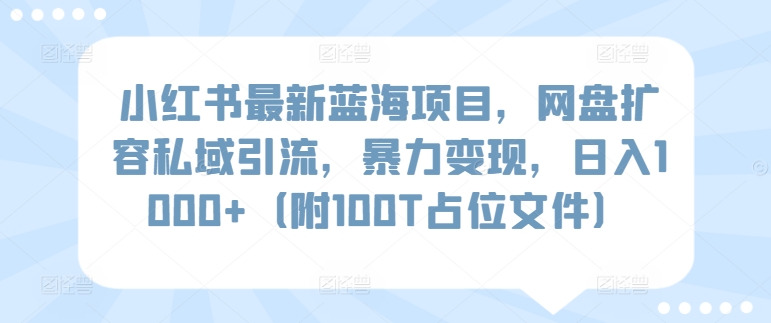 小红书最新蓝海项目，网盘扩容私域引流，暴力变现，日入1000+（附100T占位文件）-南丰网创