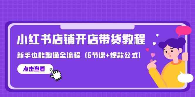 （9883期）最新小红书店铺开店带货教程，新手也能跑通全流程（6节课+爆款公式）-南丰网创