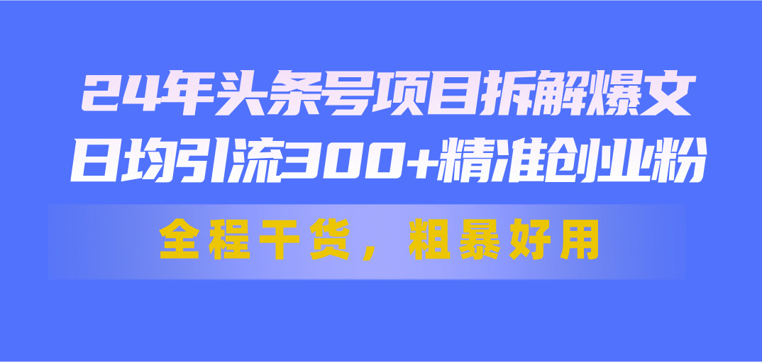 24年头条号项目拆解爆文，日均引流300+精准创业粉，全程干货，粗暴好用-南丰网创