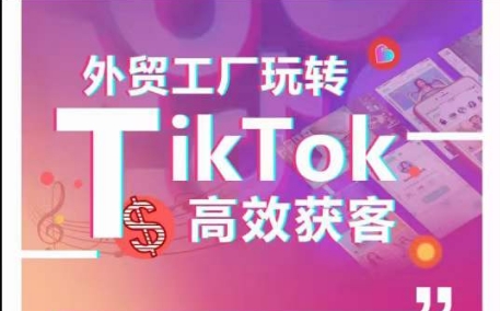 外贸工厂玩转TikTok高效获客，多种引流方式与账号定位技巧，拆解爆款短视频打造成功案例-南丰网创