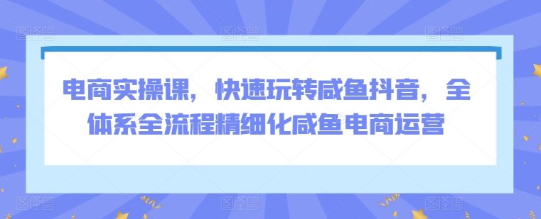 电商实操课，快速玩转咸鱼抖音，全体系全流程精细化咸鱼电商运营-南丰网创