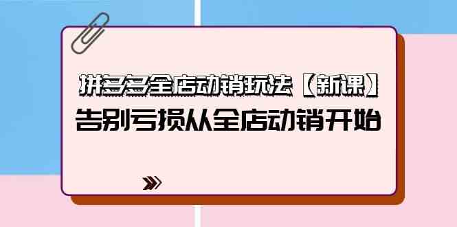 （9974期）拼多多全店动销玩法【新课】，告别亏损从全店动销开始（4节视频课）-南丰网创