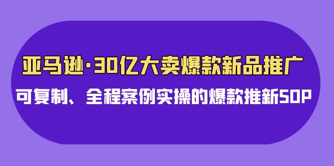 亚马逊30亿大卖爆款新品推广，可复制、全程案例实操的爆款推新SOP-南丰网创