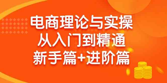 （9576期）电商理论与实操从入门到精通 新手篇+进阶篇-南丰网创