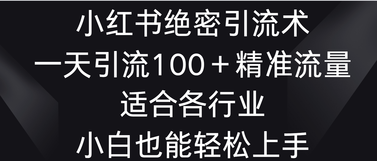 小红书绝密引流术，一天引流100＋精准流量，适合各个行业，小白也能轻松上手-南丰网创