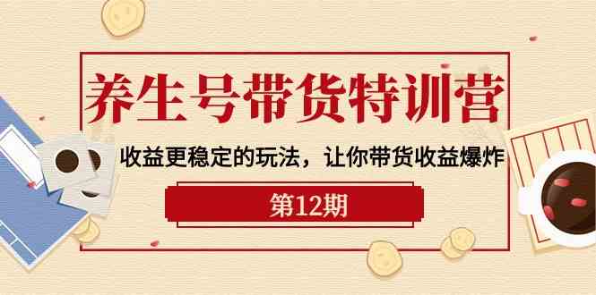 （10110期）养生号带货特训营【12期】收益更稳定的玩法，让你带货收益爆炸-9节直播课-南丰网创