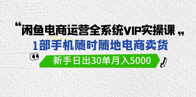 闲鱼电商运营全系统VIP实战课，1部手机随时随地卖货，新手日出30单月入5000-南丰网创