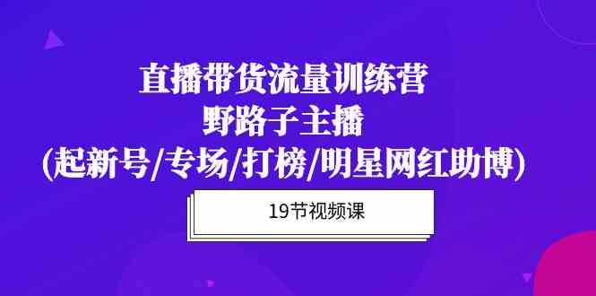 直播带货流量特训营，野路子主播(起新号/专场/打榜/明星网红助博)-南丰网创