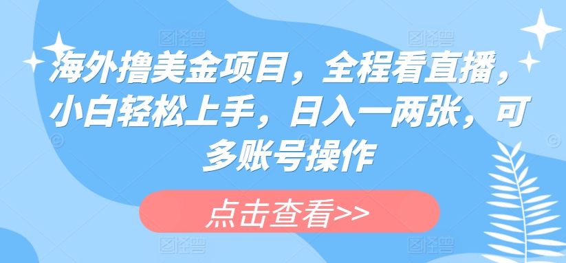 海外撸美金项目，全程看直播，小白轻松上手，日入一两张，可多账号操作-南丰网创