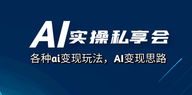 AI实操私享会，各种ai变现玩法，AI变现思路（67节课）-南丰网创