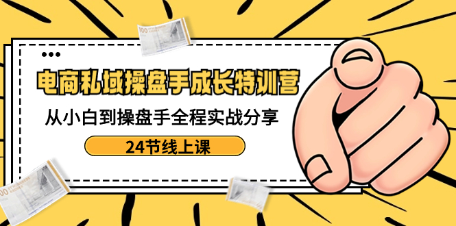 电商私域-操盘手成长特训营：从小白到操盘手全程实战分享-24节线上课-南丰网创