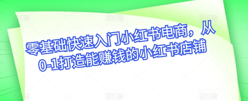 零基础快速入门小红书电商，从0-1打造能赚钱的小红书店铺-南丰网创