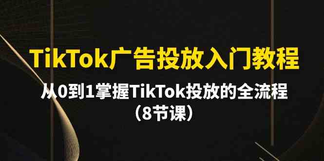 TikTok广告投放入门教程，从0到1掌握TikTok投放的全流程（8节课）-南丰网创