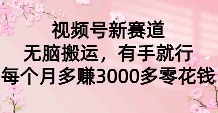 （9277期）视频号新赛道，无脑搬运，有手就行，每个月多赚3000多零花钱-南丰网创