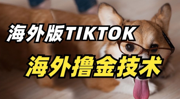 抖音海外版tiktok撸金技术，这个风口行业，赚钱真的不难-南丰网创