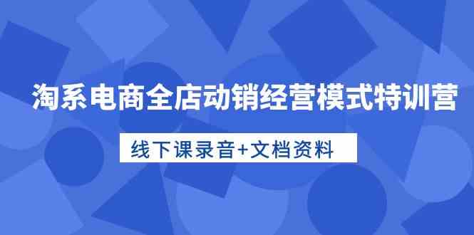 （10192期）淘系电商全店动销经营模式特训营，线下课录音+文档资料-南丰网创