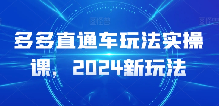 多多直通车玩法实操课，2024新玩法-南丰网创