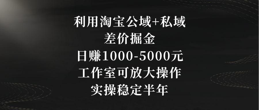 利用淘宝公域+私域差价掘金，日赚1000-5000元，工作室可放大操作，实操…-南丰网创