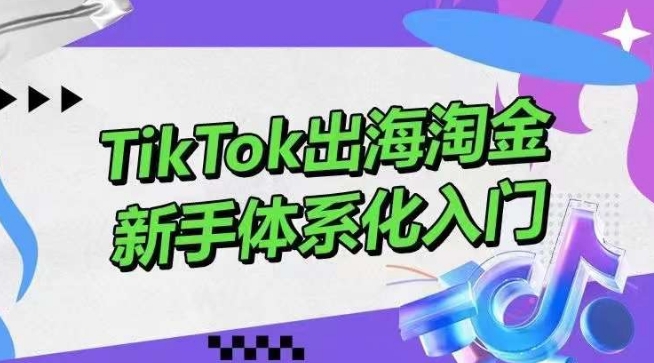 TikTok出海淘金，新手体系化入门，零基础快速入门，掌握短视频、直播带货等引流到变现的知识-南丰网创