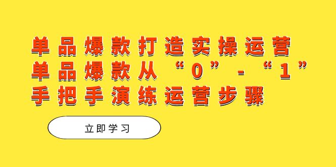 单品爆款打造实操运营，单品爆款从“0”-“1”手把手演练运营步骤-南丰网创