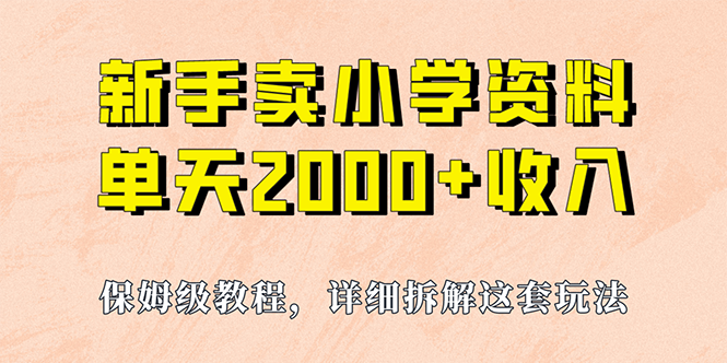 我如何通过卖小学资料，实现单天2000+，实操项目，保姆级教程+资料+工具-南丰网创