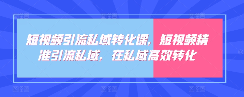 短视频引流私域转化课，短视频精准引流私域，在私域高效转化-南丰网创