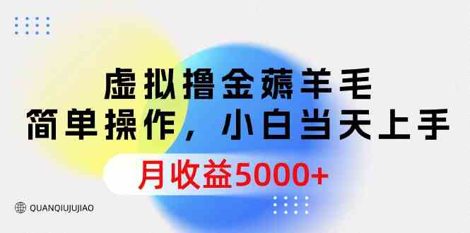 （9864期）虚拟撸金薅羊毛，简单操作，小白当天上手，月收益5000+-南丰网创