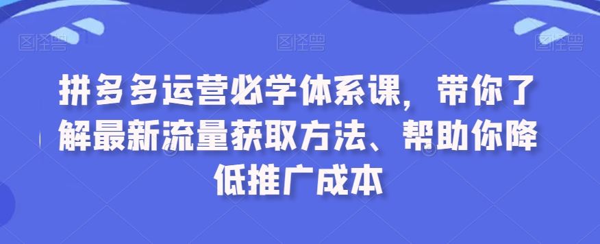 拼多多运营必学体系课，带你了解最新流量获取方法、帮助你降低推广成本-南丰网创