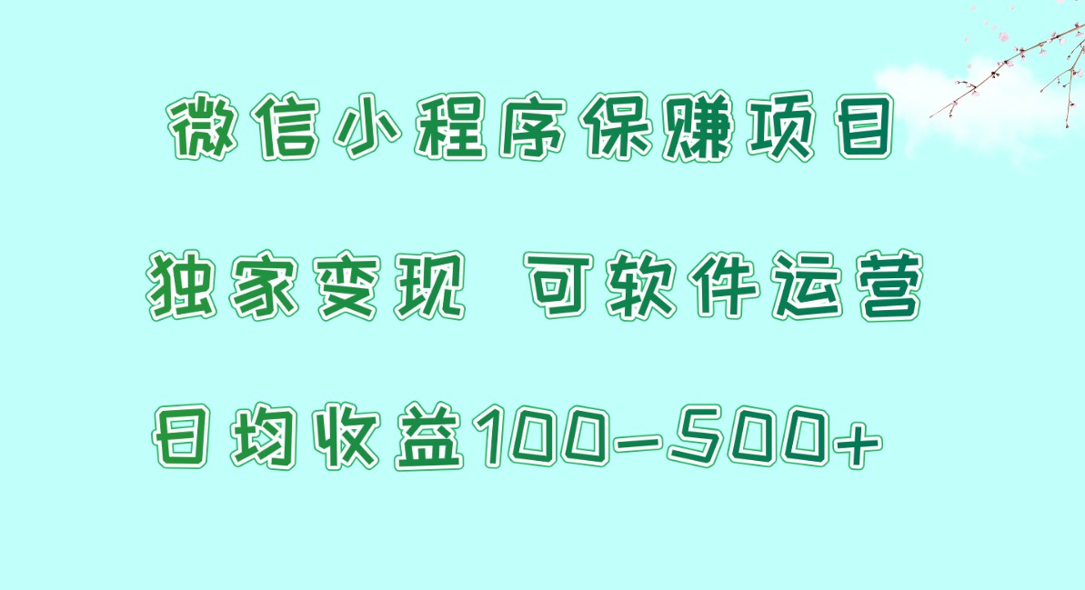 微信小程序保赚项目，日均收益100~500+，独家变现，可软件运营-南丰网创