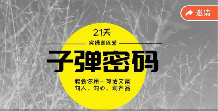 《子弹密码训练营》用一句话文案勾人勾心卖产品，21天学到顶尖文案大师策略和技巧-南丰网创