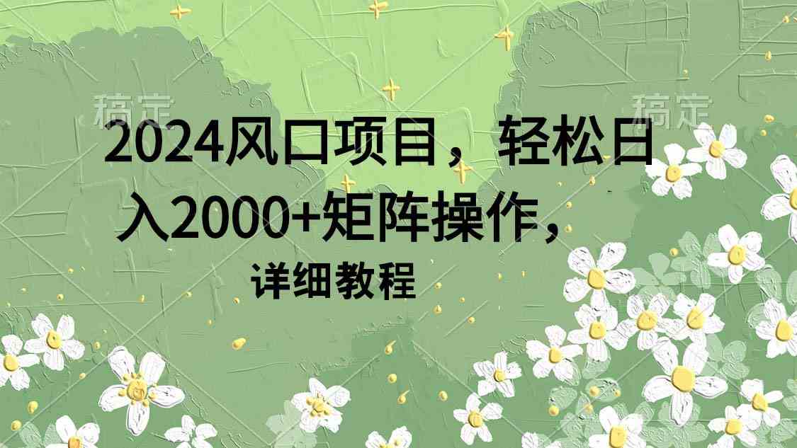 （9652期）2024风口项目，轻松日入2000+矩阵操作，详细教程-南丰网创