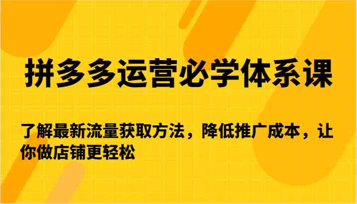 拼多多运营必学体系课-了解最新流量获取方法，降低推广成本，让你做店铺更轻松-南丰网创