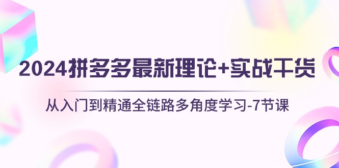 （10816期）2024拼多多 最新理论+实战干货，从入门到精通全链路多角度学习-7节课-南丰网创