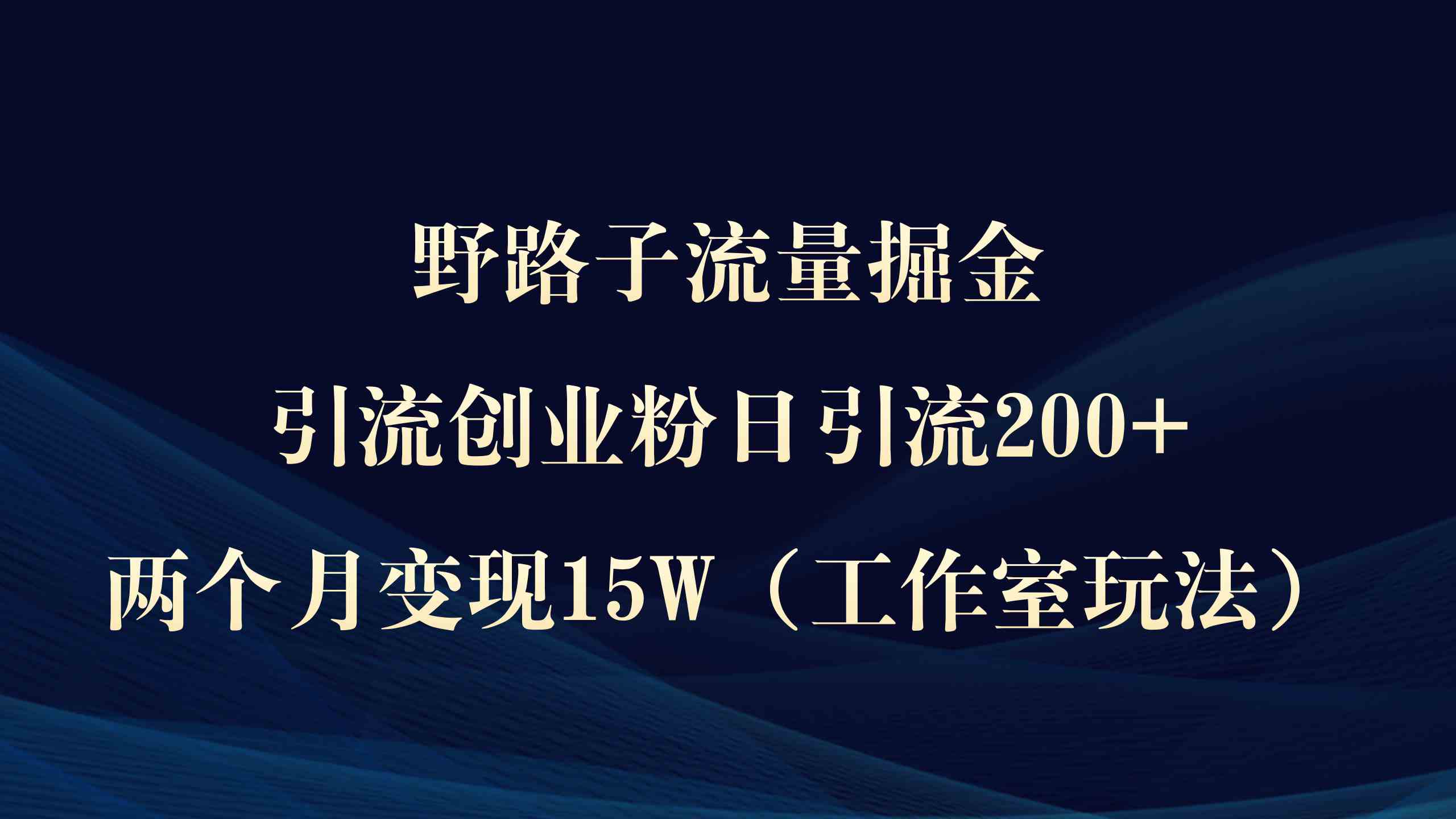 （9513期）野路子流量掘金，引流创业粉日引流200+，两个月变现15W（工作室玩法））-南丰网创