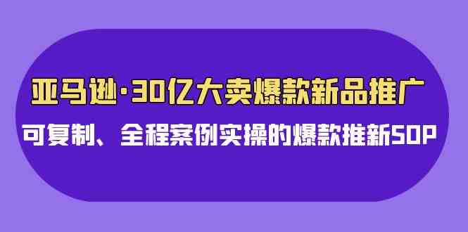 （9944期）亚马逊30亿·大卖爆款新品推广，可复制、全程案例实操的爆款推新SOP-南丰网创