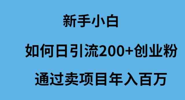 （9668期）新手小白如何日引流200+创业粉通过卖项目年入百万-南丰网创