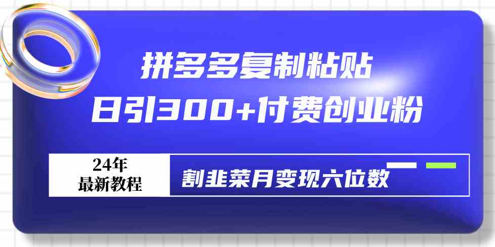 （9129期）拼多多复制粘贴日引300+付费创业粉，割韭菜月变现六位数最新教程！-南丰网创