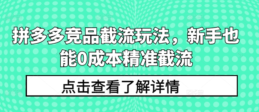 拼多多竞品截流玩法，新手也能0成本精准截流-南丰网创