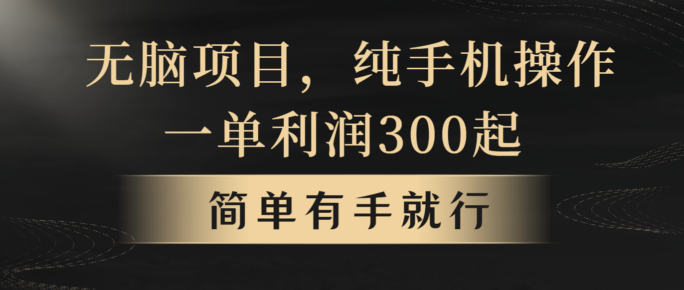 （10699期）无脑项目，一单几百块，轻松月入5w+，看完就能直接操作-南丰网创