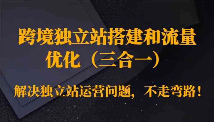 跨境独立站搭建和流量优化（三合一）解决独立站运营问题，不走弯路！-南丰网创